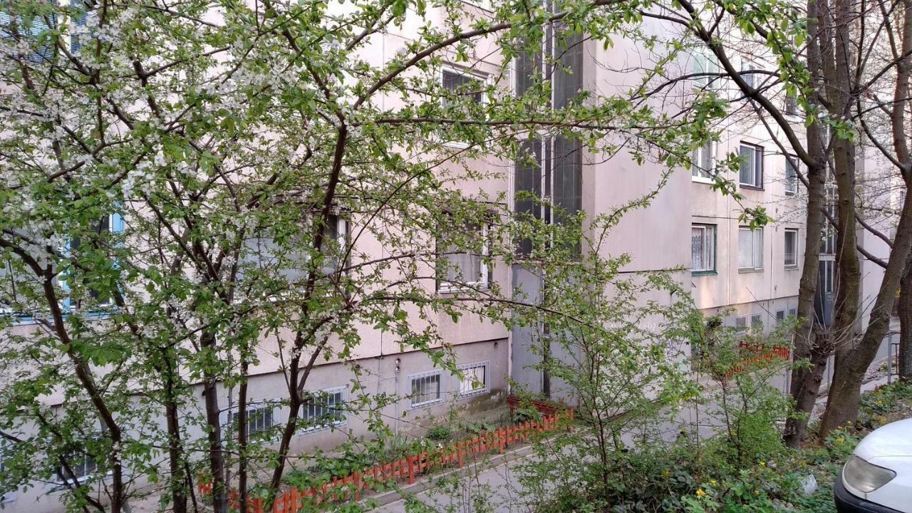 Gesztenyes Apartman Miskolc Exteriör bild